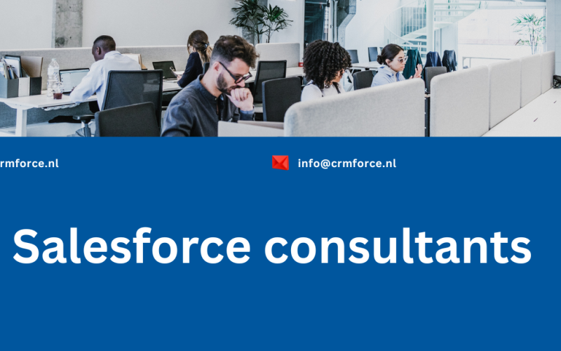 Salesforce consultants
