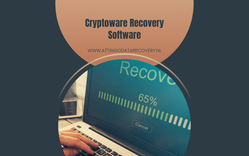 Cryptoware Recovery Software: Snel Gegevens Herstellen
